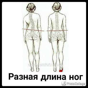 стелька: Стельки для роста (7 видов) Адрес: Лермонтова — 1