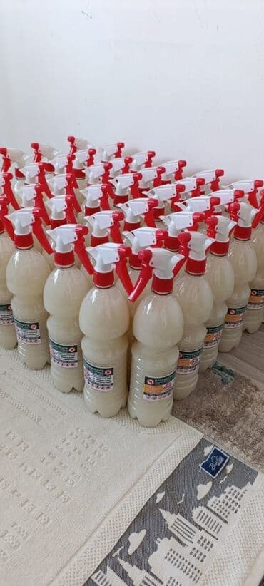 уничтожение клоп блох: Дезинфекция, дезинсекция, | Тараканы, Муравьи, Мыши и крысы, | Подвал, погреб, Офисы, Транспорт — 6