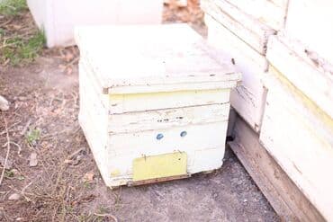 домик для кроликов: Пчелиные ульи из дерева, около 45 комплектов предназначенные для — 10