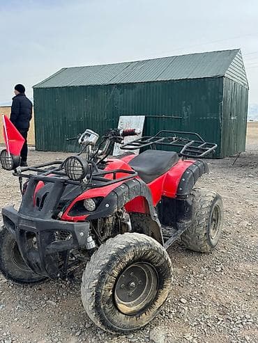 танк 500: Квадроцикл Бензин, 200 куб. см, Взрослый — 3