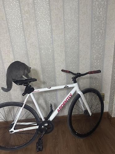 слики: Фикс-байк (fixed gear) ARDENTLY - Рама и вилка: стальная/алюминиевая — 2