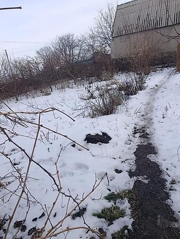 Дачный дом с участком - Участок: ровный, с дорожкой и насаждениями по