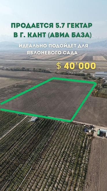 Жер тилкелерди ижарага берүү: 570 соток, Айыл чарба үчүн — 1