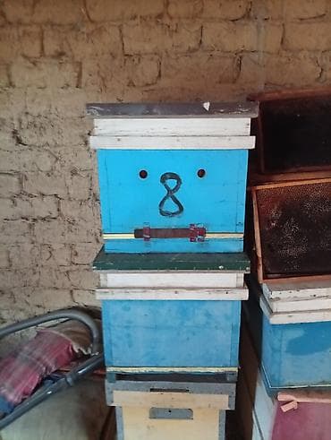 солнечная электростанция для дома: Деревянный Ящик, Б/у — 2