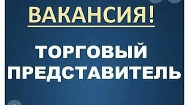 Требуется Торговый агент, График: Шестидневка, Без опыта, Обучение, Полный рабочий день