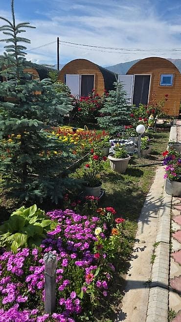 Недвижимость: Коттедж, Чон-Сары-Ой — 10