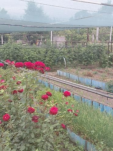 бишкек участка: 17 соток, Бизнес үчүн, Сатып алуу-сатуу келишими, Белек келишими — 6