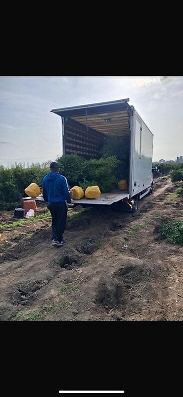 Заказать Мерседес грузовой спринтер, Переезд, С манипулятором
