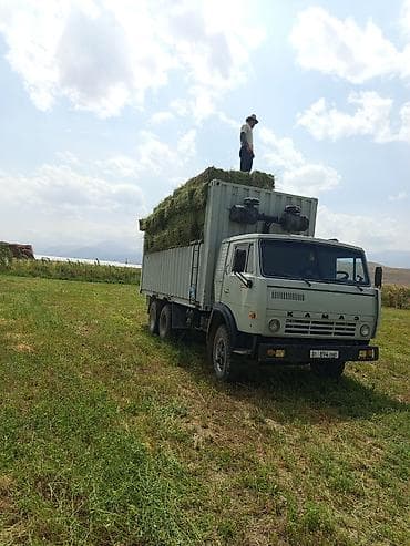 Унаа: Сүйрөгүч, Камаз, Борттук — 4