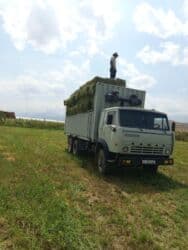 Другие автомобили