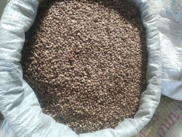 Партия семян экспорцета представленная в мешке, готова к