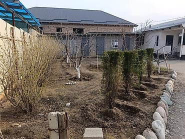 с кок жар участок: 4 соток, Для бизнеса — 3