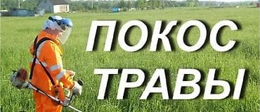 Клининг кызматтары: Аймактарды жыйнап тазалоо, Газон чабуу — 1