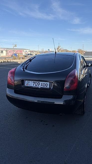 bmw g11: Nissan Primera: 2002 г., 1.8 л, Автомат, Бензин, Хэтчбэк — 6