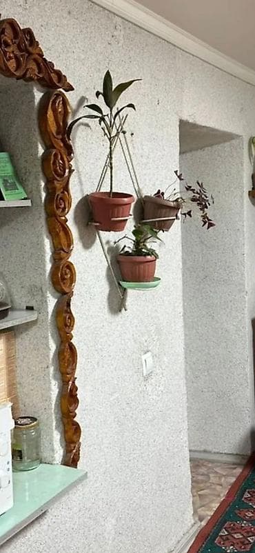 Недвижимость: 60 м², 3 комнаты, Без подселения — 5
