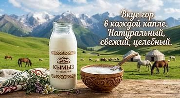 молочные продукты: Кымыз натуральный - Традиционный ферментированный напиток из — 1