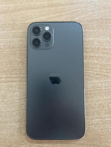 IPhone 12 Pro Max, Графит