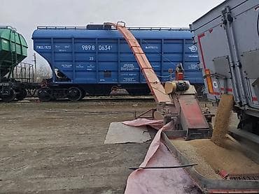 Карасу шарында Дун баада 4-класс буудай сатылат Россиядан келген at lalafo.kg Карасу шарында Дун баада 4-класс буудай сатылат Россиядан келген