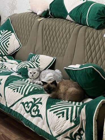 стол стул для столовой: Спальный гарнитур, Б/у, Другая страна производитель, Дерево, Самовывоз, цвет - Серый — 3