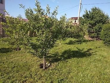 дом сдаётся: 260 м², 6 комнат, Забор, огорожен — 6