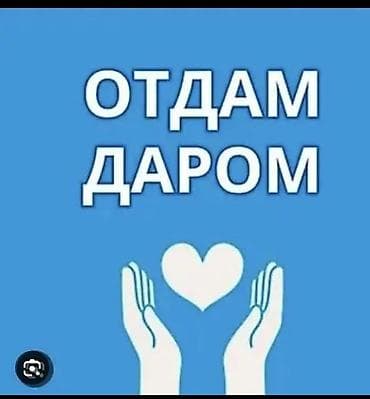 Отдам даром детские вещи от рождения и выше,можете сегодня забрать
