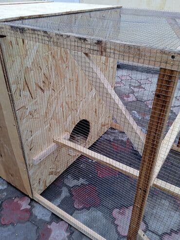 домашние куры: Новинка! Жанылык! Мини курятник цыплятник. размеры: длина 2 м — 7