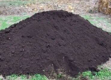 газонная трава цена бишкек: Тоонун кара топурагы сатылат. Ош шаарынын ичинде бекер жеткизип — 1