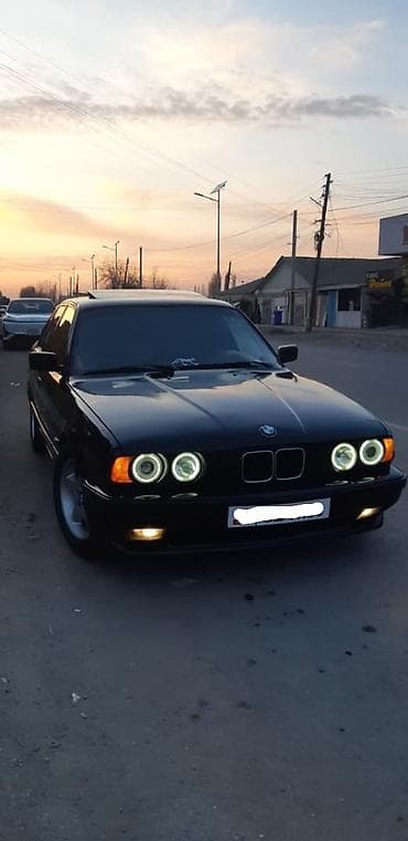 грунтовка для авто: BMW 5 series: 1991 г., 2.5 л, Бензин, Седан — 1