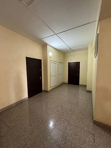 ursa: 1 комната, 52 м², Элитка, 5 этаж — 5