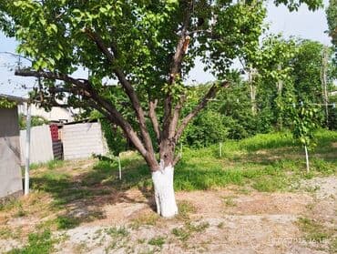 прадаю дом бишкеке: Дом, 100 м², 4 комнаты, Собственник, Косметический ремонт — 7