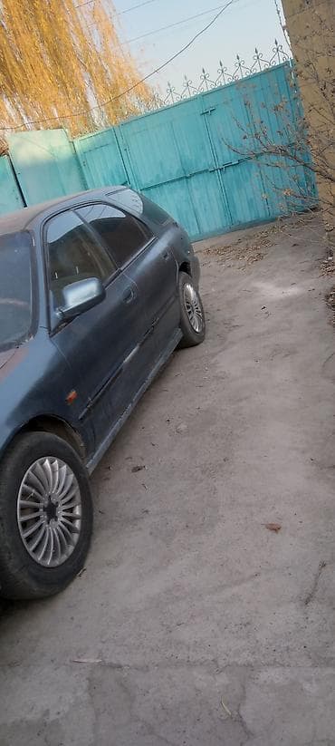 задний бампер хонда фит: Honda Accord: 1995 г., 2 л, Ручные, Бензин, Универсал — 3