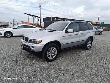 салон на авто: BMW X5: 2004 г., 3 л, Автомат, Бензин, Кроссовер — 1