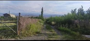 яблоневый сад: 10 соток, Для сельского хозяйства, Красная книга — 2