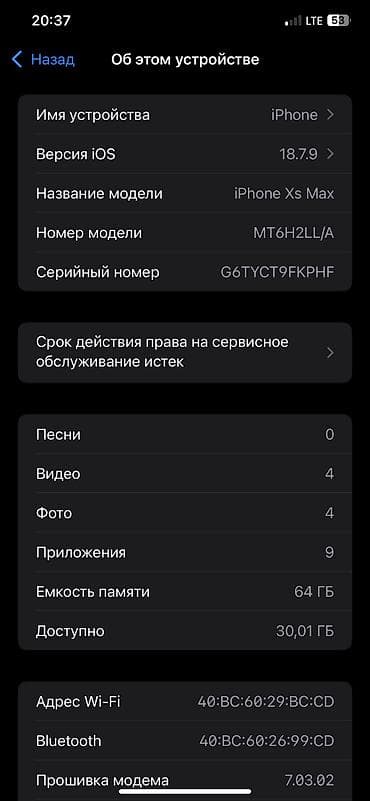 IPhone Xs Max, Б/у, Чехол, 100 %