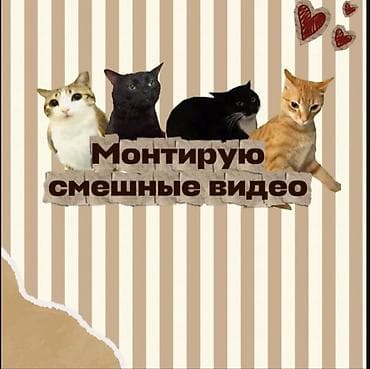 hidden camera: 🎬 Смонтирую для вас качественное и интересное видео! Цены💸: • Короткие — 1