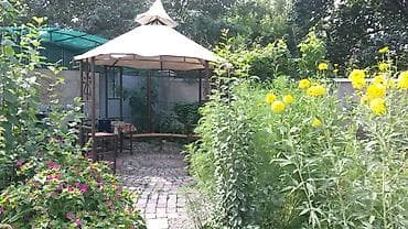 ландшафтный: Озеленение, ландшафтный дизайн. Разработка планов, подбор растений — 3