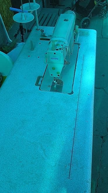 отдам даром животных бишкек: Отдам даром — 4