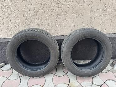 Шины 265 / 65 / R 19, Всесезонная, Б/у, Пара, Внедорожные (АТ/МТ), Япония, Dunlop