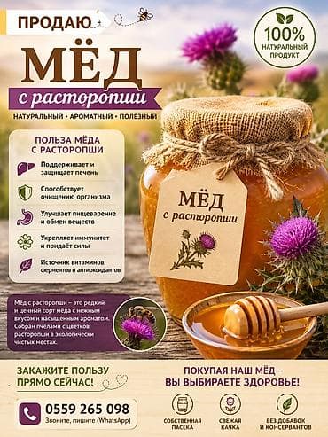 мирт растение: Мёд с расторопши Натуральный, ароматный и полезный продукт из — 1