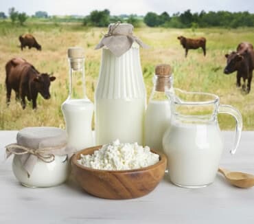 Домашняя молочная продукция! Молоко ; творог сливки