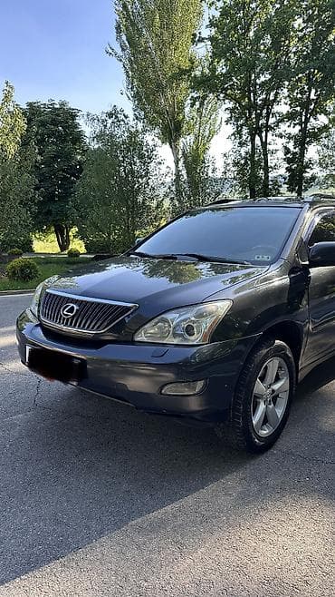 ксеноновые: Lexus RX: 2004 г., 3.3 л, Автомат, Газ, Кроссовер — 2