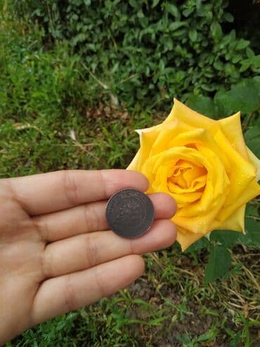 где можно обменять монеты на купюры бишкек: Редкая Монета 2 копьйки1898 года. Медная Российская монета. Баха — 2