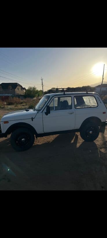 опел фратера: ВАЗ (ЛАДА) 4x4 Нива: 1988 г., 1.6 л, Механика, Бензин, Внедорожник — 10