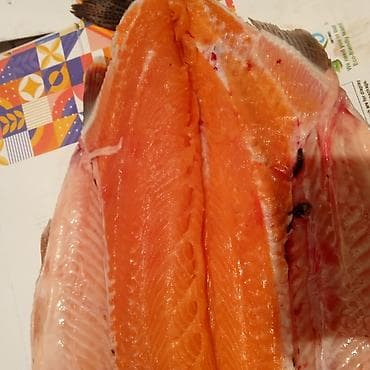 туша барана: ОшПродается форель. От 2 до 3 кг. Около 3 тонны. Чон кемин — 3