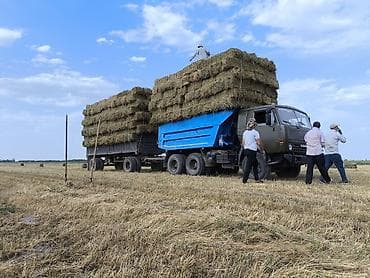 jeep compas: Грузовик, Камаз, Стандарт — 9