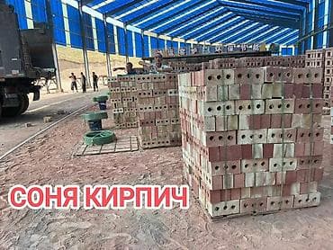 Пустотелый, дырчатый, Жженый кирпич, Полублок, 250×120×90 — 1