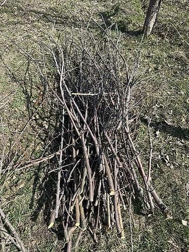 одежда для сто: Дрова — 1