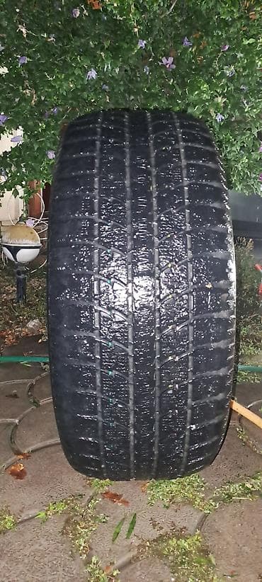 892 2: Шина Toyo Observe GSi‑6 285/50 R20 116Q - Тип: зимняя фрикционная — 3