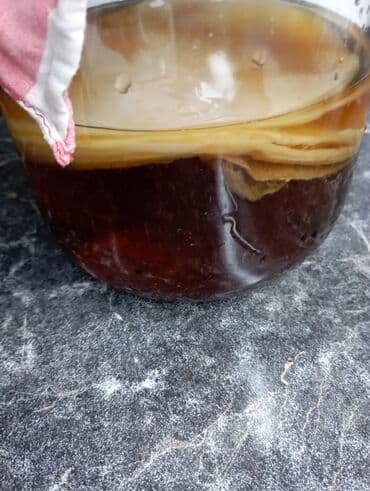 малхам напиток: Продаю грибной чайочень полезныйкак для взрослыхтак и малышам — 2