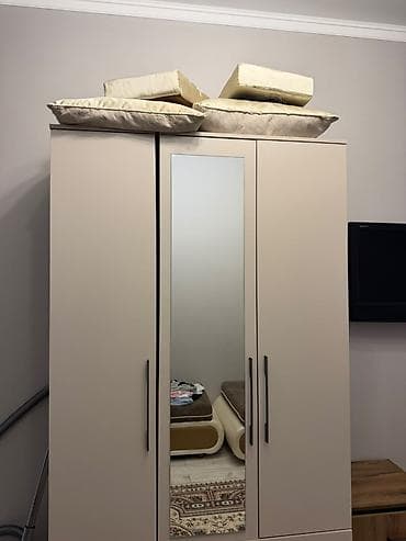 third edition solution: Трёхдверный шкаф-купе для спальни/прихожей. срочно сатылат - Корпус и — 1